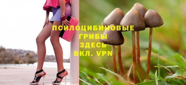 стафф Балабаново
