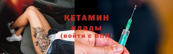 сатива Балахна