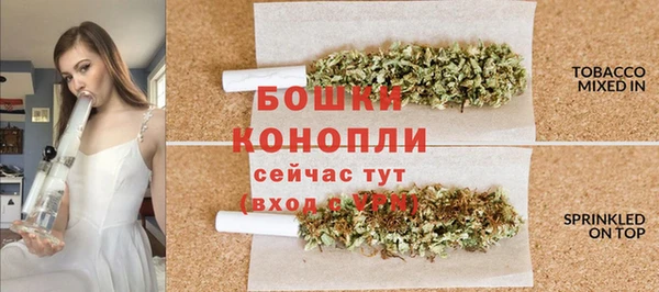 сатива Балахна