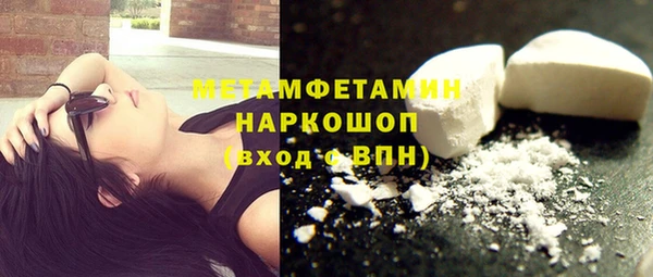 сатива Балахна